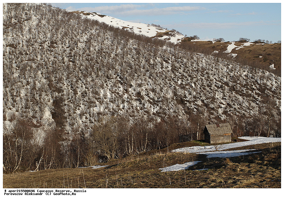 ������������� ����, ���������� ������, ���������-���������� ����������, ������, ���, ������, �������� ������, ���������� ��������������� ����������, ���������� ��������������� ��������� ���������� ���������� ����� �. �. �����������, ������, ��������, �������, ������, �����, ����, �����, �����, ������, ����, �������� ������,, ������