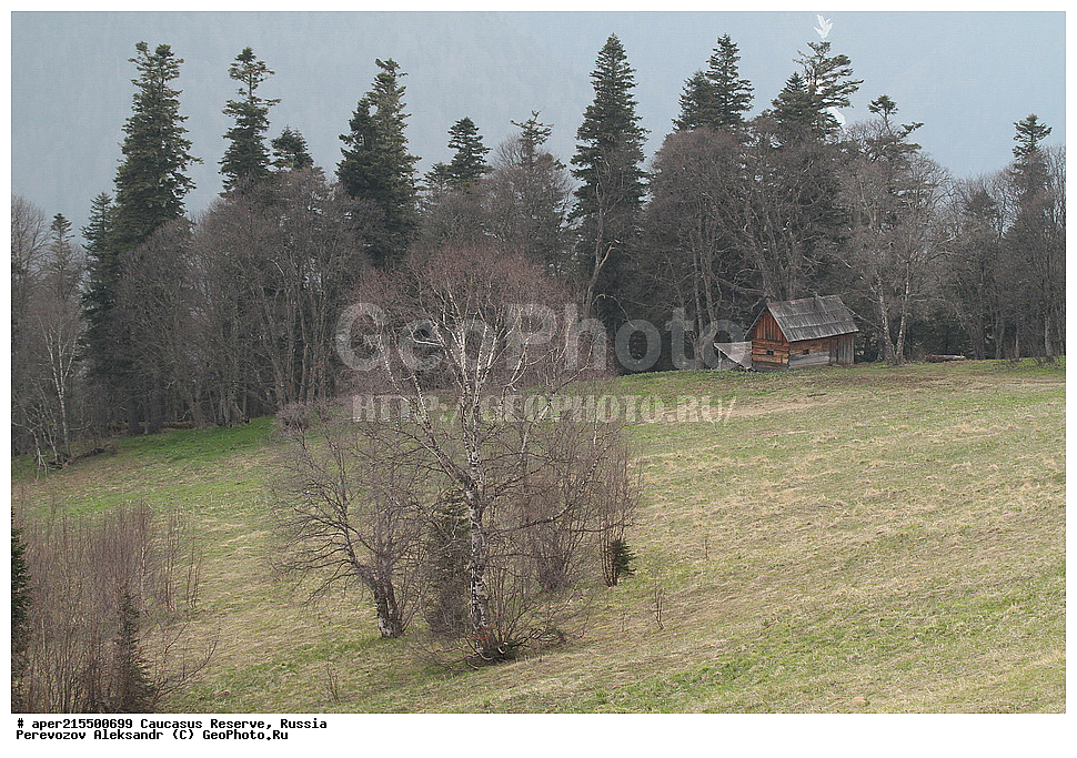 ������������� ����, ���������� ������, ���������-���������� ����������, ������, ���, ������, �������� ������, ���������� ��������������� ����������, ���������� ��������������� ��������� ���������� ���������� ����� �. �. �����������, ������, ��������, ������������� ��������, �����, ������ �������� �����, �����, ������, ����, �������� ������,, ������