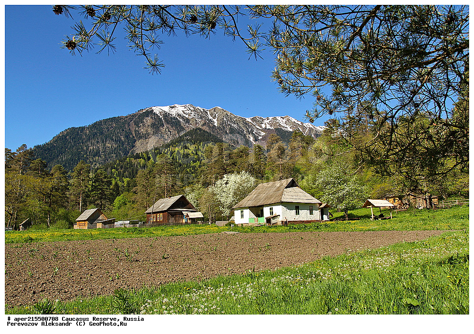 ������������� ����, ���������� ������, ���������-���������� ����������, ������, ���, ������, �������� ������, ���������� ��������������� ����������, ���������� ��������������� ��������� ���������� ���������� ����� �. �. �����������, ������, ��������, ������ ������, �����, ������, ����, �������� ������,, ������