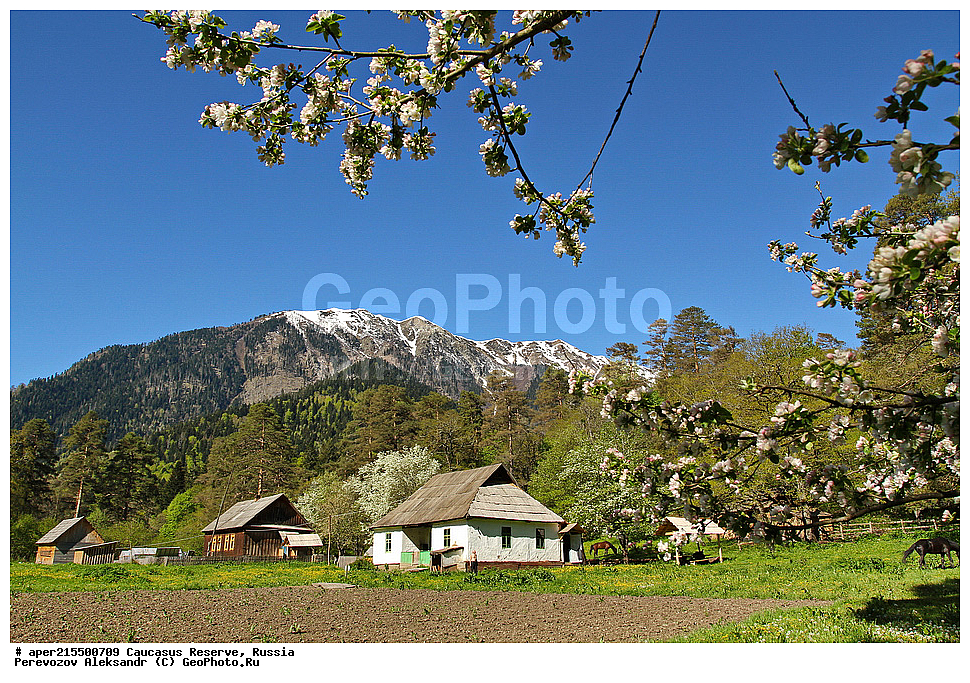 ������������� ����, ���������� ������, ���������-���������� ����������, ������, ���, ������, �������� ������, ���������� ��������������� ����������, ���������� ��������������� ��������� ���������� ���������� ����� �. �. �����������, ������, ��������, ������ ������, �����, ������, ����, �������� ������,, ������