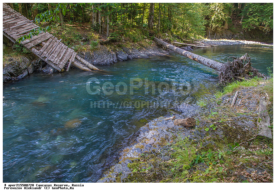 ������������� ����, ���������� ������, ���������-���������� ����������, ������, ���, ������, �������� ������, ���������� ��������������� ����������, ���������� ��������������� ��������� ���������� ���������� ����� �. �. �����������, ����, ����, ����, ������, ������, ����, ������, ����, �������� ������,, ������