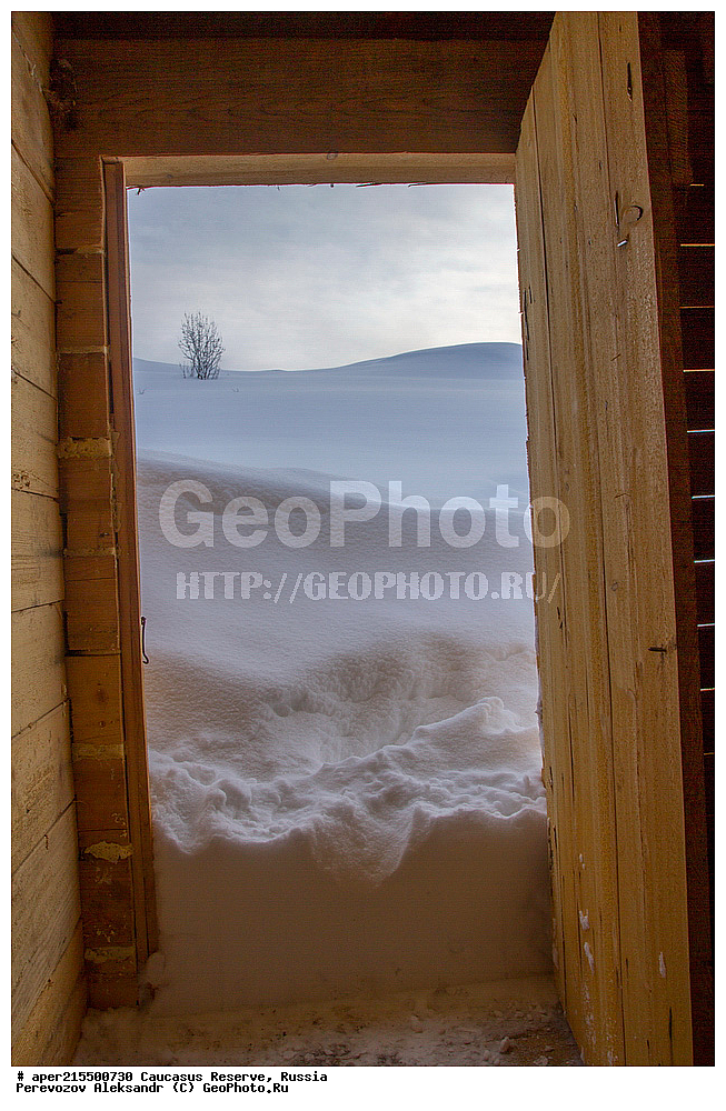 ������������� ����, ���������� ������, ���������-���������� ����������, ������, ���, ������, �������� ������, ���������� ��������������� ����������, ���������� ��������������� ��������� ���������� ���������� ����� �. �. �����������, ������, ��������, �������, ������, �����, ����, �����, ����, ������, ����, �������� ������,, ������