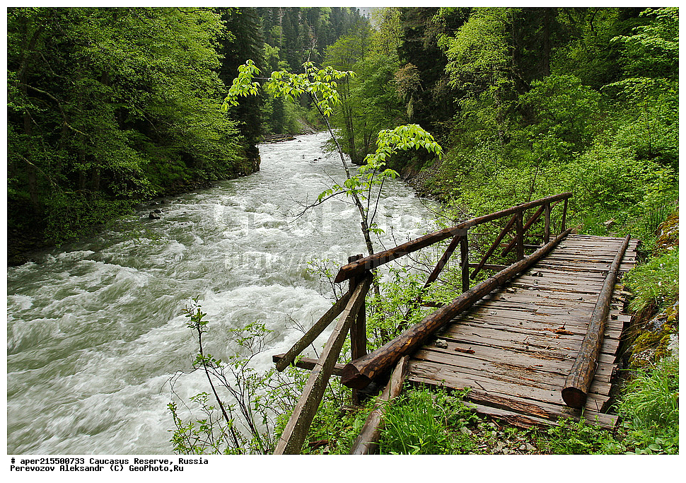 ������������� ����, ���������� ������, ���������-���������� ����������, ������, ���, ������, �������� ������, ���������� ��������������� ����������, ���������� ��������������� ��������� ���������� ���������� ����� �. �. �����������, ����, ����, ����� ����, ������, ������, ������ ����, �����, ������, ����, �������� ������,, ������