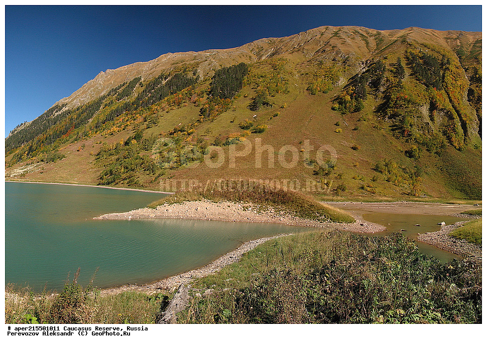 ������������� ����, ���������� ������, ���������-���������� ����������, ������, ���, ������, �������� ������, ���������� ��������������� ����������, ���������� ��������������� ��������� ���������� ���������� ����� �. �. �����������, �����, ������������, ������������,�����, ��������, ����, �������, ����, �������, �������, �����, ������