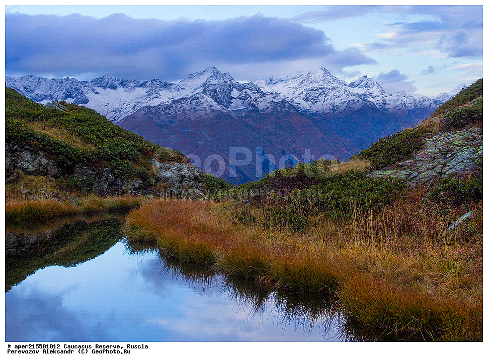 ������������� ����, ���������� ������, ���������-���������� ����������, ������, ���, ������, �������� ������, ���������� ��������������� ����������, ���������� ��������������� ��������� ���������� ���������� ����� �. �. �����������, �����, ������������ �����, ������������ ������ ����, ������ ������, ������, ����, ������, �����, ������