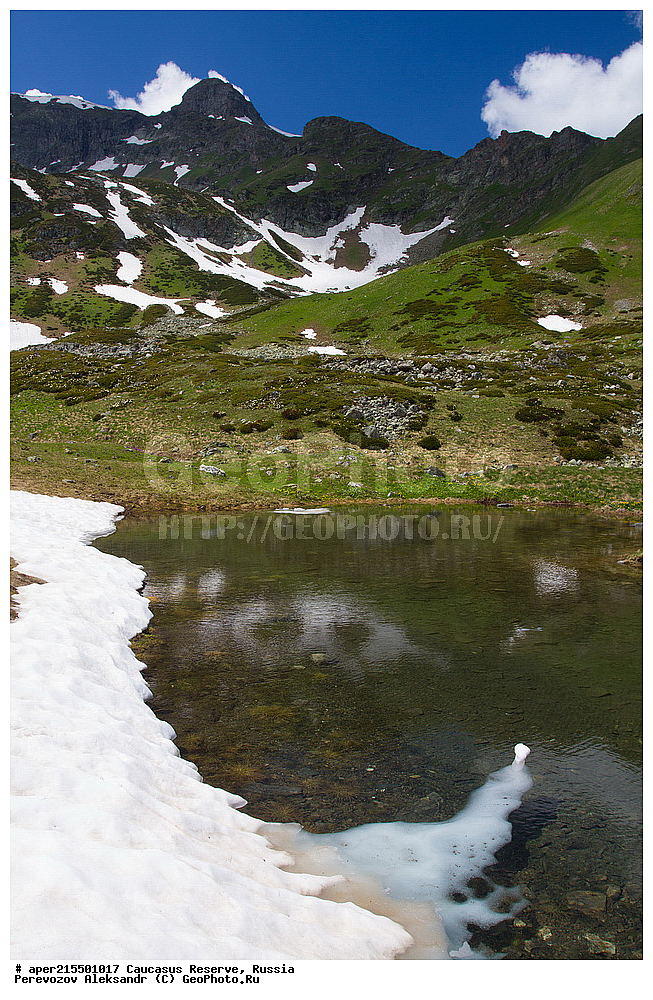 ������������� ����, ���������� ������, ���������-���������� ����������, ������, ���, ������, �������� ������, ���������� ��������������� ����������, ���������� ��������������� ��������� ���������� ���������� ����� �. �. �����������, �����, ���������������� �����, ��������, ����, ������. ������, ���, ����������, ����, ������