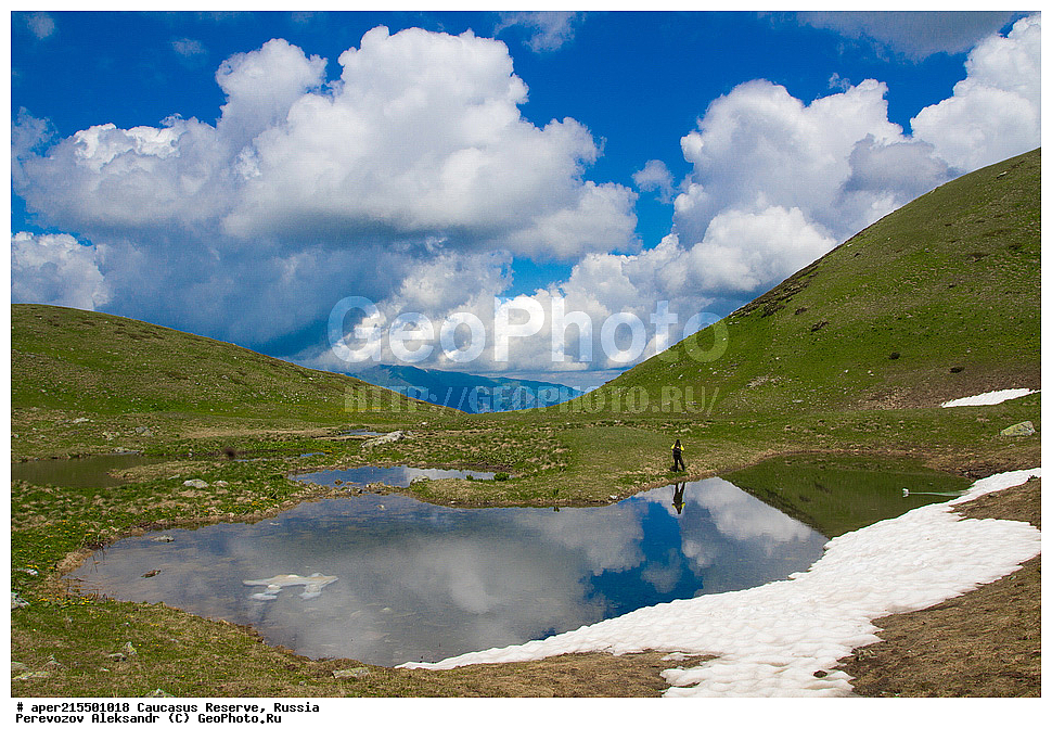 ������������� ����, ���������� ������, ���������-���������� ����������, ������, ���, ������, �������� ������, ���������� ��������������� ����������, ���������� ��������������� ��������� ���������� ���������� ����� �. �. �����������, �����, ���������������� �����, ��������, ����, ������. ������, ���, ����������, ����, ������