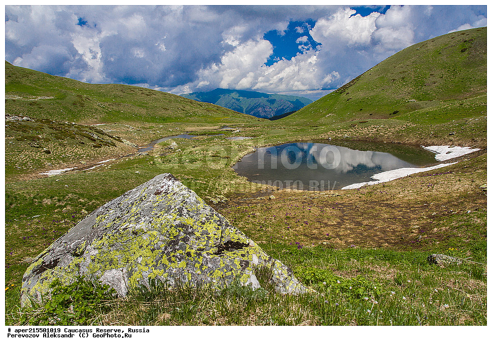 ������������� ����, ���������� ������, ���������-���������� ����������, ������, ���, ������, �������� ������, ���������� ��������������� ����������, ���������� ��������������� ��������� ���������� ���������� ����� �. �. �����������, �����, ���������������� �����, ��������, ����, ������. ������, ���, ����������, ����, ������