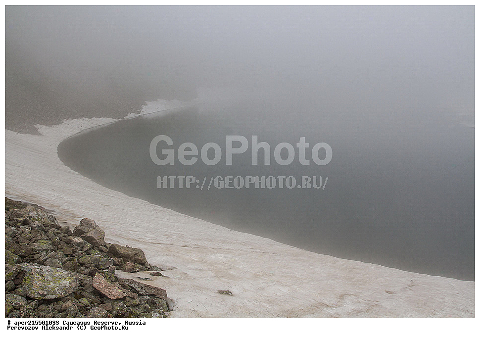 ������������� ����, ���������� ������, ���������-���������� ����������, ������, ���, ������, �������� ������, ���������� ��������������� ����������, ���������� ��������������� ��������� ���������� ���������� ����� �. �. �����������, �����, ��������, ����, �����, ����, ������