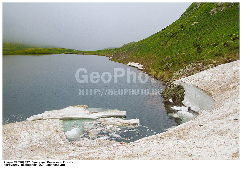 ������������� ����, ���������� ������, ���������-���������� ����������, ������, ���, ������, �������� ������, ���������� ��������������� ����������, ���������� ��������������� ��������� ���������� ���������� ����� �. �. �����������, �����, ������������ �����, ��������, ����, �������, ����, �����, ������� ������, ����, ������