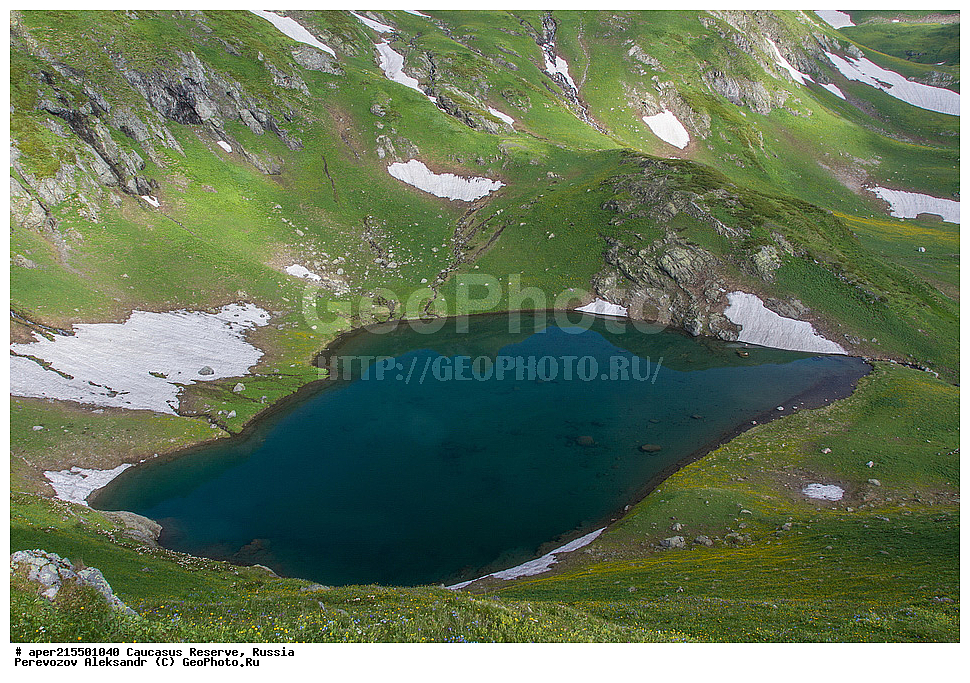 ������������� ����, ���������� ������, ���������-���������� ����������, ������, ���, ������, �������� ������, ���������� ��������������� ����������, ���������� ��������������� ��������� ���������� ���������� ����� �. �. �����������, �����, ������������ �����, ��������, ����, �������, ����, �����, ������� ������, ����, ������