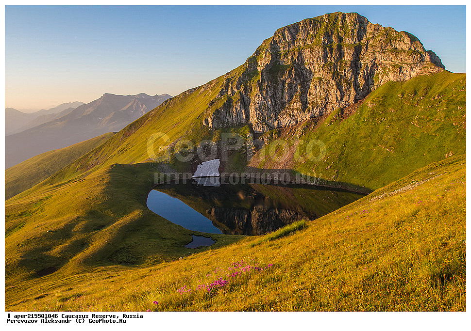 ������������� ����, ���������� ������, ���������-���������� ����������, ������, ���, ������, �������� ������, ���������� ��������������� ����������, ���������� ��������������� ��������� ���������� ���������� ����� �. �. �����������, �����, ��������, ����, �����, ����, ������