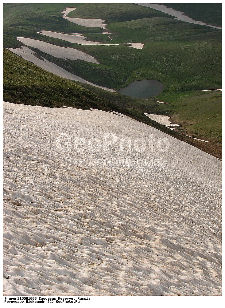 ������������� ����, ���������� ������, ���������-���������� ����������, ������, ���, ������, �������� ������, ���������� ��������������� ����������, ���������� ��������������� ��������� ���������� ���������� ����� �. �. �����������, �����, ����������� �������, ����� ��������, ����, ������