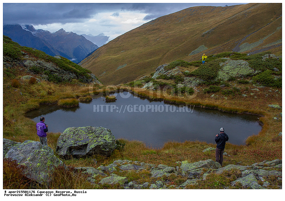 ������������� ����, ���������� ������, ���������-���������� ����������, ������, ���, ������, �������� ������, ���������� ��������������� ����������, ���������� ��������������� ��������� ���������� ���������� ����� �. �. �����������, �����, ������������ �����, ������������ ������ ����, ������ ������, ������, ����, ������, �����, ������