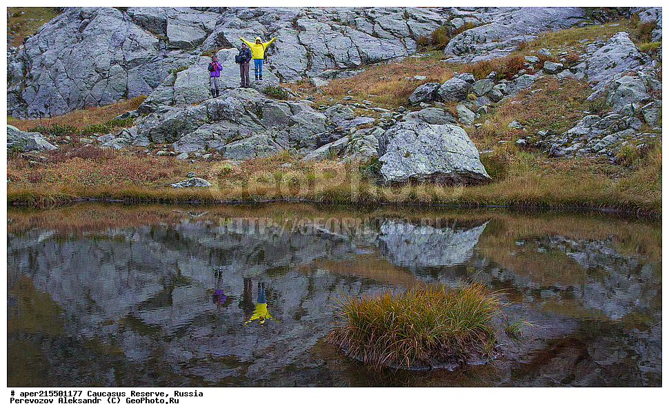 ������������� ����, ���������� ������, ���������-���������� ����������, ������, ���, ������, �������� ������, ���������� ��������������� ����������, ���������� ��������������� ��������� ���������� ���������� ����� �. �. �����������, �����, ������������ �����, ������������ ������ ����, ������ ������, ������, ����, ������, �����, ������