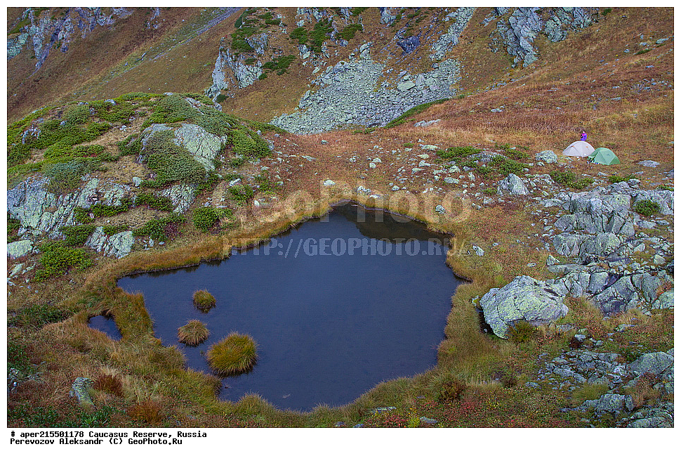 ������������� ����, ���������� ������, ���������-���������� ����������, ������, ���, ������, �������� ������, ���������� ��������������� ����������, ���������� ��������������� ��������� ���������� ���������� ����� �. �. �����������, �����, ������������ �����, ������������ ������ ����, ������ ������, ������, ����, ������, �����, ������