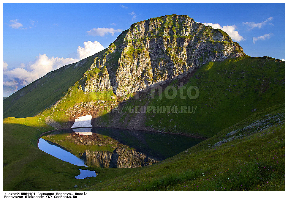 ������������� ����, ���������� ������, ���������-���������� ����������, ������, ���, ������, �������� ������, ���������� ��������������� ����������, ���������� ��������������� ��������� ���������� ���������� ����� �. �. �����������, �����, ��������, ����, �����, ����, ������