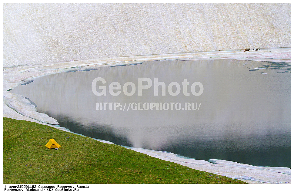 ������������� ����, ���������� ������, ���������-���������� ����������, ������, ���, ������, �������� ������, ���������� ��������������� ����������, ���������� ��������������� ��������� ���������� ���������� ����� �. �. �����������, �����, ��������, ����, �����, ����, ������