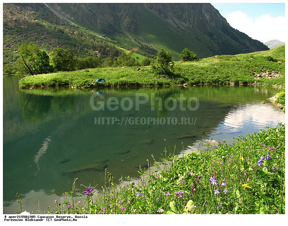  ������������� ����, ���������� ������, ���������-���������� ����������, ������, ���, ������, �������� ������, ���������� ��������������� ����������, ���������� ��������������� ��������� ���������� ���������� ����� �. �. �����������, �����, �����, ��������, ����, ������, ����, ������