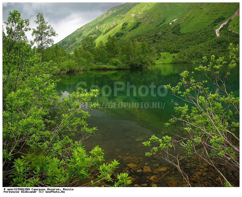 ������������� ����, ���������� ������, ���������-���������� ����������, ������, ���, ������, �������� ������, ���������� ��������������� ����������, ���������� ��������������� ��������� ���������� ���������� ����� �. �. �����������, �����, ��������, ��������, ����, ������, ����, ������