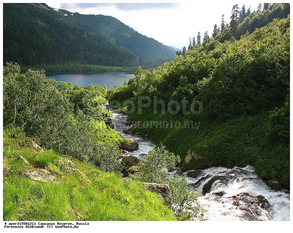 ������������� ����, ���������� ������, ���������-���������� ����������, ������, ���, ������, �������� ������, ���������� ��������������� ����������, ���������� ��������������� ��������� ���������� ���������� ����� �. �. �����������, �����, ��������, ��������, ����, ������, ����, ������