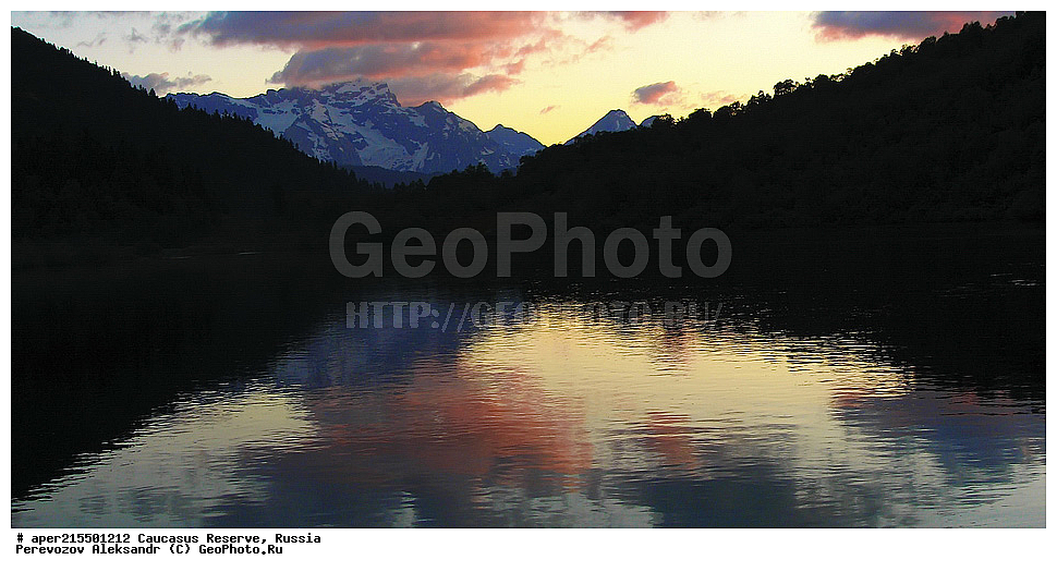 ������������� ����, ���������� ������, ���������-���������� ����������, ������, ���, ������, �������� ������, ���������� ��������������� ����������, ���������� ��������������� ��������� ���������� ���������� ����� �. �. �����������, �����, ��������, ��������, ����, ������, ����, ������