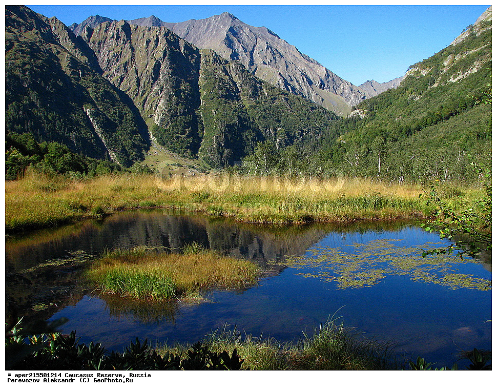 ������������� ����, ���������� ������, ���������-���������� ����������, ������, ���, ������, �������� ������, ���������� ��������������� ����������, ���������� ��������������� ��������� ���������� ���������� ����� �. �. �����������, �����, ��������, ���������. �����, ��������, ����, ����, �����, ������