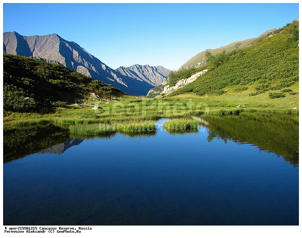 ������������� ����, ���������� ������, ���������-���������� ����������, ������, ���, ������, �������� ������, ���������� ��������������� ����������, ���������� ��������������� ��������� ���������� ���������� ����� �. �. �����������, �����, ��������, ���������. �����, ��������, ����, ����, �����, ������