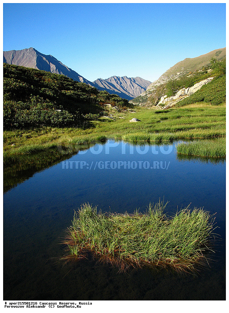 ������������� ����, ���������� ������, ���������-���������� ����������, ������, ���, ������, �������� ������, ���������� ��������������� ����������, ���������� ��������������� ��������� ���������� ���������� ����� �. �. �����������, �����, ��������, ���������. �����, ��������, ����, ����, �����, ������