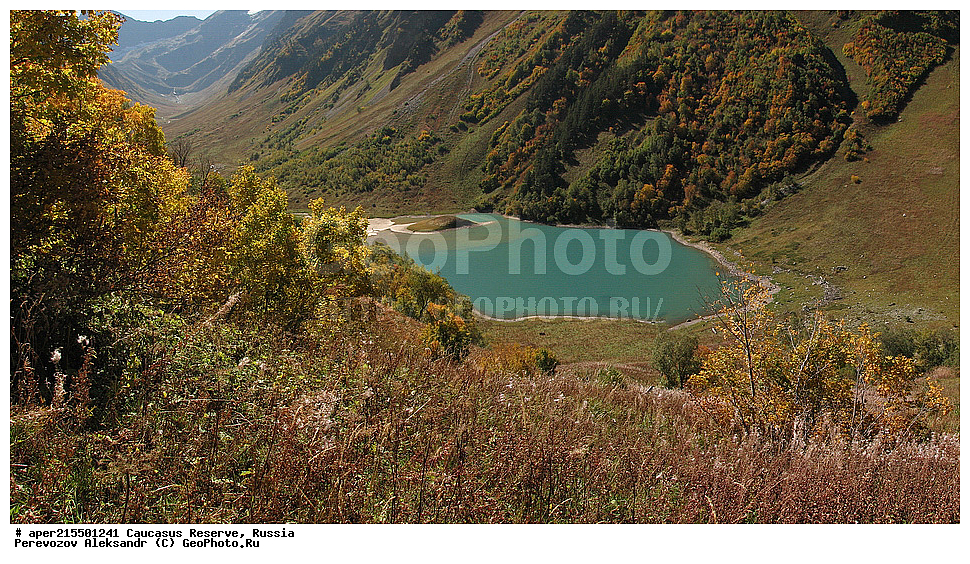 ������������� ����, ���������� ������, ���������-���������� ����������, ������, ���, ������, �������� ������, ���������� ��������������� ����������, ���������� ��������������� ��������� ���������� ���������� ����� �. �. �����������, �����, ������������, ������������,�����, ��������, ����, �������, ����, �������, �������, �����, ������