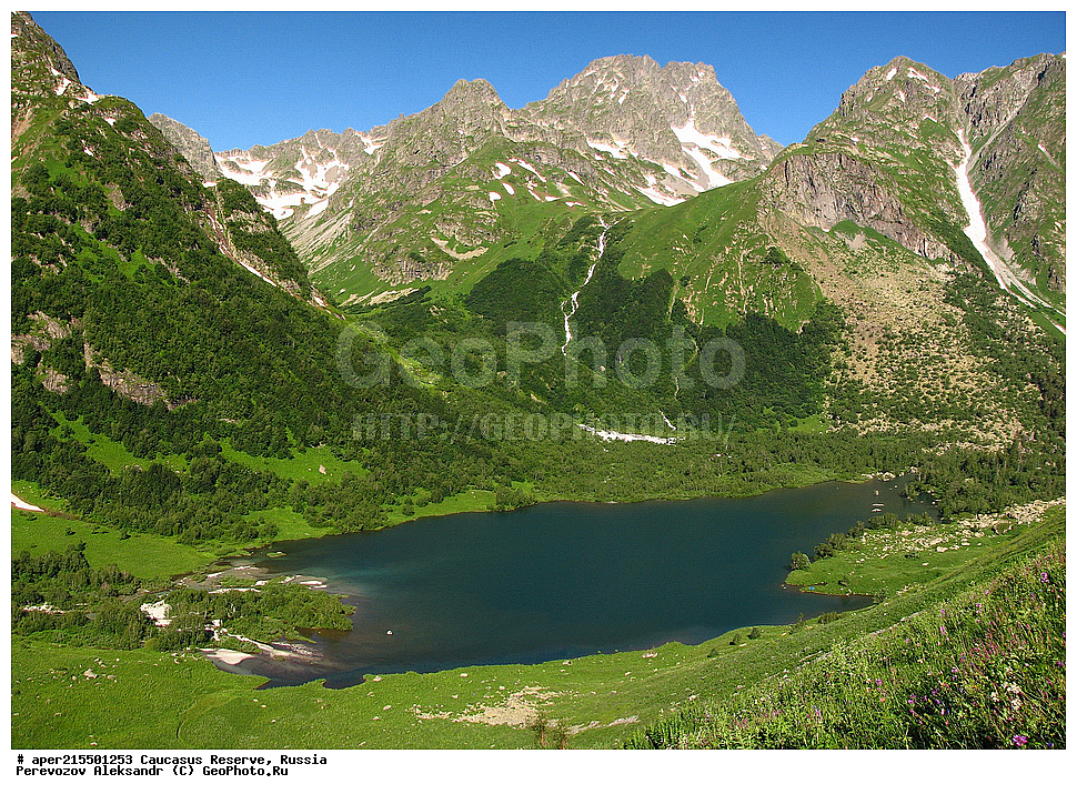  ������������� ����, ���������� ������, ���������-���������� ����������, ������, ���, ������, �������� ������, ���������� ��������������� ����������, ���������� ��������������� ��������� ���������� ���������� ����� �. �. �����������, �����, �����, ��������, ����, ������, ����, ������