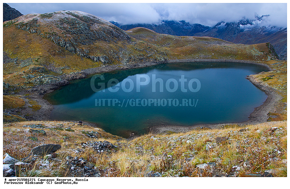 ������������� ����, ���������� ������, ���������-���������� ����������, ������, ���, ������, �������� ������, ���������� ��������������� ����������, ���������� ��������������� ��������� ���������� ���������� ����� �. �. �����������, �����, ������������ �����, ������������ ������ ����, ������, �����, ������