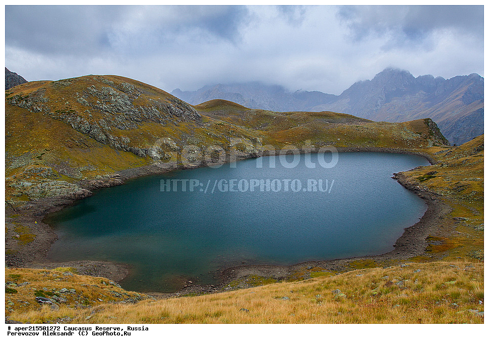 ������������� ����, ���������� ������, ���������-���������� ����������, ������, ���, ������, �������� ������, ���������� ��������������� ����������, ���������� ��������������� ��������� ���������� ���������� ����� �. �. �����������, �����, ������������ �����, ������������ ������ ����, ������, �����, ������