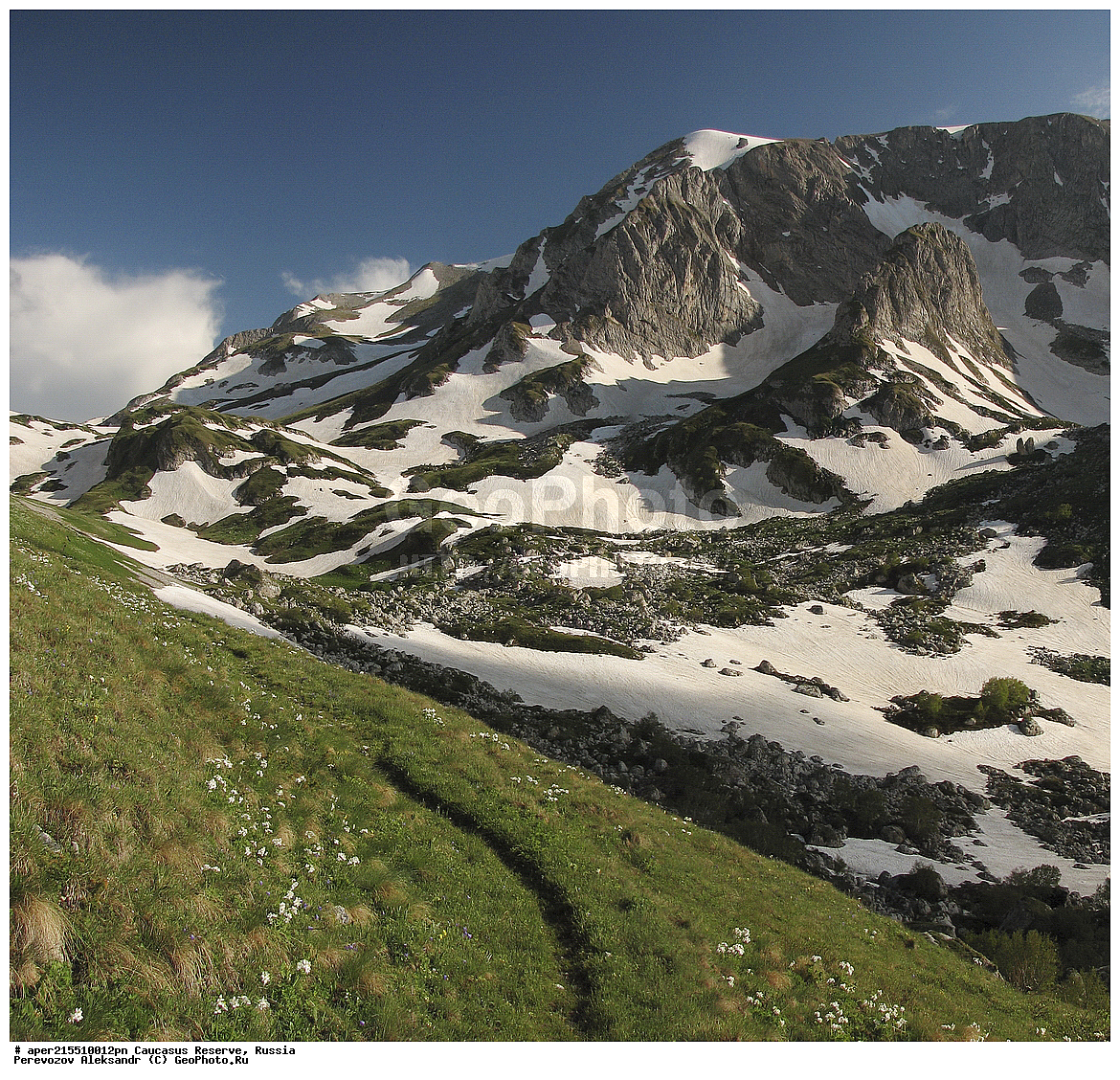 ������������� ����, ���������� ������, ���������-���������� ����������, ������, ���, ������, �������� ������, ���������� ��������������� ����������, ���������� ��������������� ��������� ���������� ���������� ����� �. �. ����������� ����������� ������� � ����-��������� ������ ������, ���� ����, �����, �������, �����-���, ������ �������� ����, �����-��, ���, �����, �����-�� ����, ������