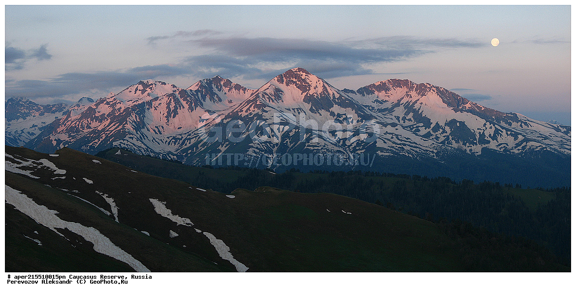 ������������� ����, ���������� ������, ���������-���������� ����������, ������, ���, ������, �������� ������, ���������� ��������������� ����������, ���������� ��������������� ��������� ���������� ���������� ����� �. �. �����������, �����, ��������, ������� (����), ������ ����� (������) ������ ������, ���� �����, ���, ������, ���-���������, ������