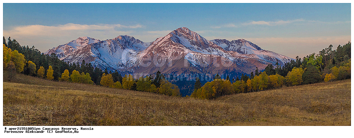 ������������� ����, ���������� ������, ���������-���������� ����������, ������, ���, ������, �������� ������, ���������� ��������������� ����������, ���������� ��������������� ��������� ���������� ���������� ����� �. �. �����������, �����, ��������, ������� (����), ������ ����� (������) ������ ������, ���� �����, ���, ������������ �������, ��������� ��������, ������