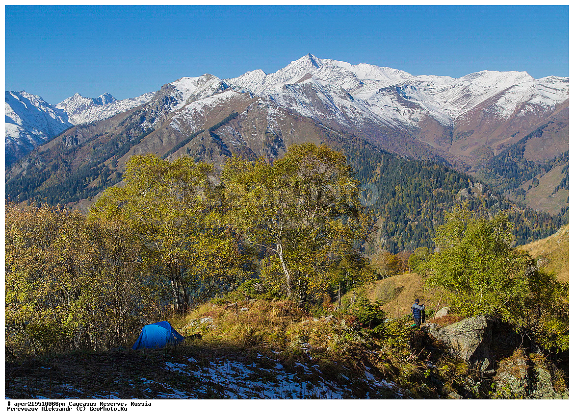  ������������� ����, ���������� ������, ���������-���������� ����������, ������, ���, ������, �������� ������, ���������� ��������������� ����������, ���������� ��������������� ��������� ���������� ���������� ����� �. �. �����������, ������� ����, ������, �������� ������, ���, ����� ��������, ������, ������