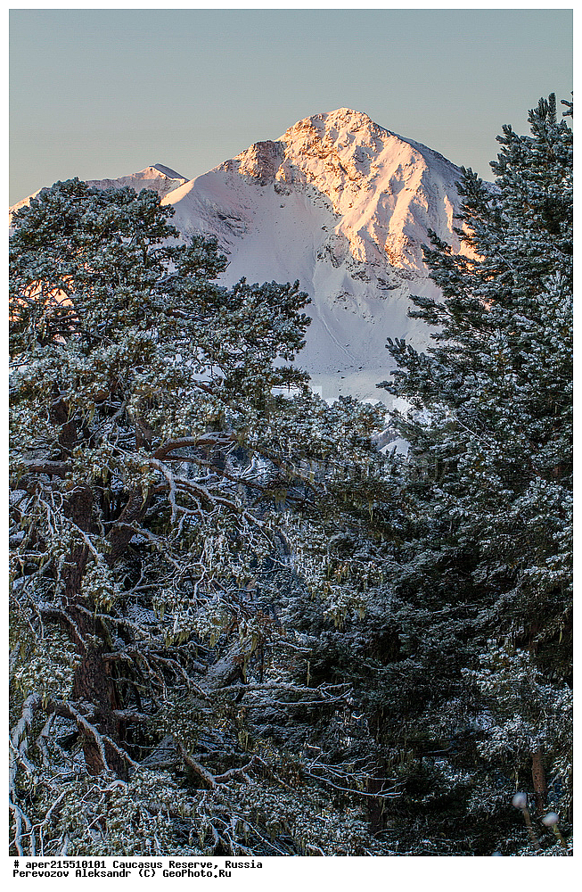 ������������� ����, ���������� ������, ���������-���������� ����������, ������, ���, ������, �������� ������, ���������� ��������������� ����������, ���������� ��������������� ��������� ���������� ���������� ����� �. �. �����������, �����, ��������, ������� (����), ������ ����� (������) ������ ������, ���� �����, ���, ������, ���-���������, ������