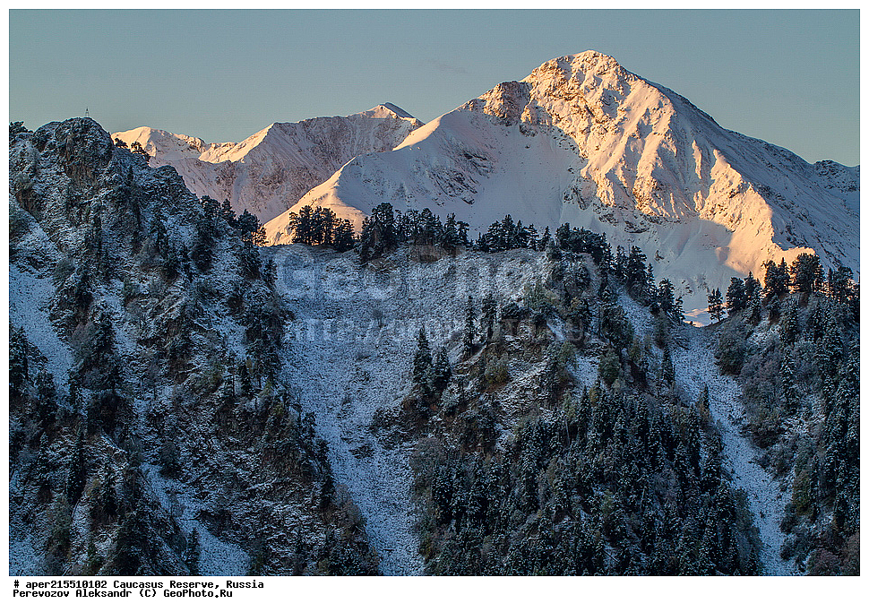 ������������� ����, ���������� ������, ���������-���������� ����������, ������, ���, ������, �������� ������, ���������� ��������������� ����������, ���������� ��������������� ��������� ���������� ���������� ����� �. �. �����������, �����, ��������, ������� (����), ������ ����� (������) ������ ������, ���� �����, ���, ������, ���-���������, ������