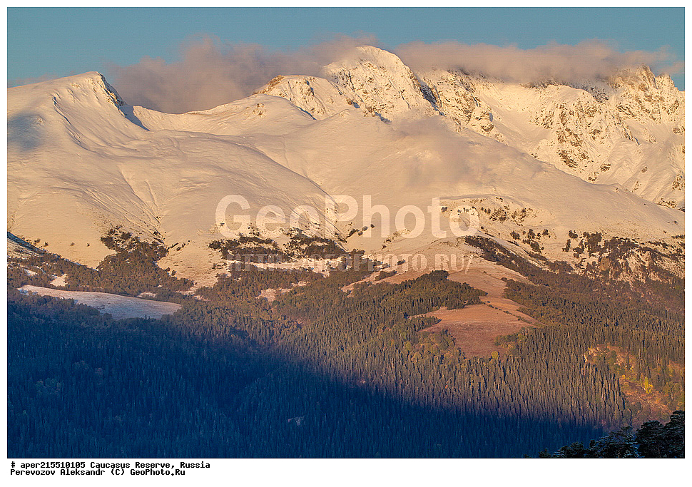 ������������� ����, ���������� ������, ���������-���������� ����������, ������, ���, ������, �������� ������, ���������� ��������������� ����������, ���������� ��������������� ��������� ���������� ���������� ����� �. �. �����������, �����-���������� (���� �����, ������, ������ ����������, ����-�����, �����������) ������ ������, ����� ������ � ����, ���, ���-���������, ������