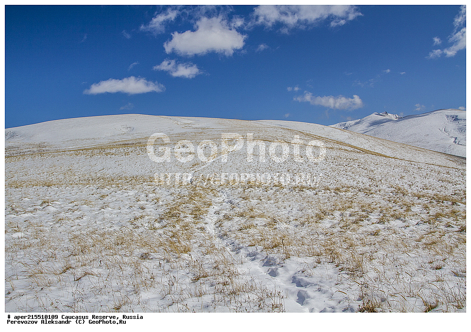 ������������� ����, ���������� ������, ���������-���������� ����������, ������, ���, ������, �������� ������, ���������� ��������������� ����������, ���������� ��������������� ��������� ���������� ���������� ����� �. �. �����������, ���, ������, ����������, ������ ������, ������, ������, ����� ���, ���, �������, �����, ���� �������, ������