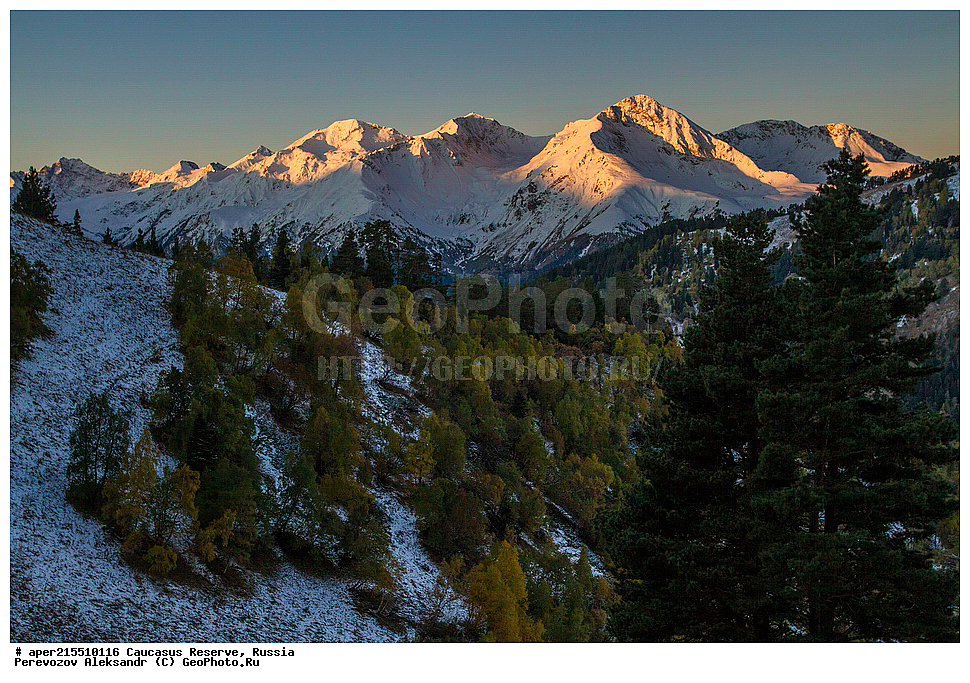 ������������� ����, ���������� ������, ���������-���������� ����������, ������, ���, ������, �������� ������, ���������� ��������������� ����������, ���������� ��������������� ��������� ���������� ���������� ����� �. �. �����������, �����, ��������, ������� (����), ������ ����� (������) ������ ������, ���� �����, ���, ������, ���-���������, ������