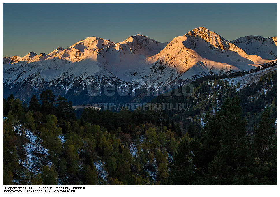 ������������� ����, ���������� ������, ���������-���������� ����������, ������, ���, ������, �������� ������, ���������� ��������������� ����������, ���������� ��������������� ��������� ���������� ���������� ����� �. �. �����������, �����, ��������, ������� (����), ������ ����� (������) ������ ������, ���� �����, ���, ������, ���-���������, ������