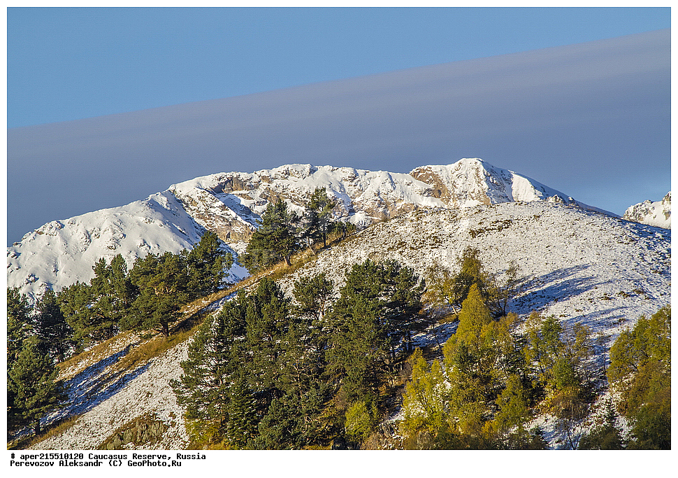 ������������� ����, ���������� ������, ���������-���������� ����������, ������, ���, ������, �������� ������, ���������� ��������������� ����������, ���������� ��������������� ��������� ���������� ���������� ����� �. �. �����������, �������� ������, ����, ���, ������, ��� ���������, ������