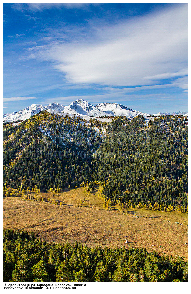 ������������� ����, ���������� ������, ���������-���������� ����������, ������, ���, ������, �������� ������, ���������� ��������������� ����������, ���������� ��������������� ��������� ���������� ���������� ����� �. �. �����������, �����, ��������, ������� (����), ������ ����� (������) ������ ������, ���� �����, ���, ������, ���-���������, ������