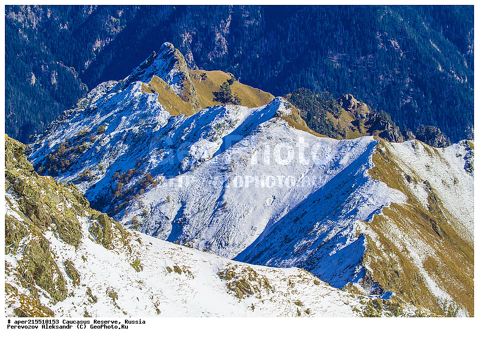 ������������� ����, ���������� ������, ���������-���������� ����������, ������, ���, ������, �������� ������, ���������� ��������������� ����������, ���������� ��������������� ��������� ���������� ���������� ����� �. �. �����������, ���, ������, ����������, ������ ������, ������, ���������, ���, �������, ����, ����������, ������