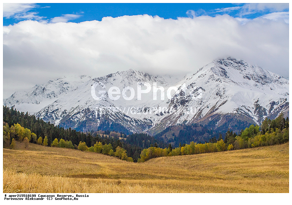 ������������� ����, ���������� ������, ���������-���������� ����������, ������, ���, ������, �������� ������, ���������� ��������������� ����������, ���������� ��������������� ��������� ���������� ���������� ����� �. �. �����������, �����, ��������, ������� (����), ������ ����� (������) ������ ������, ���� �����, ���, ������������ �������, ��������� ��������, ������