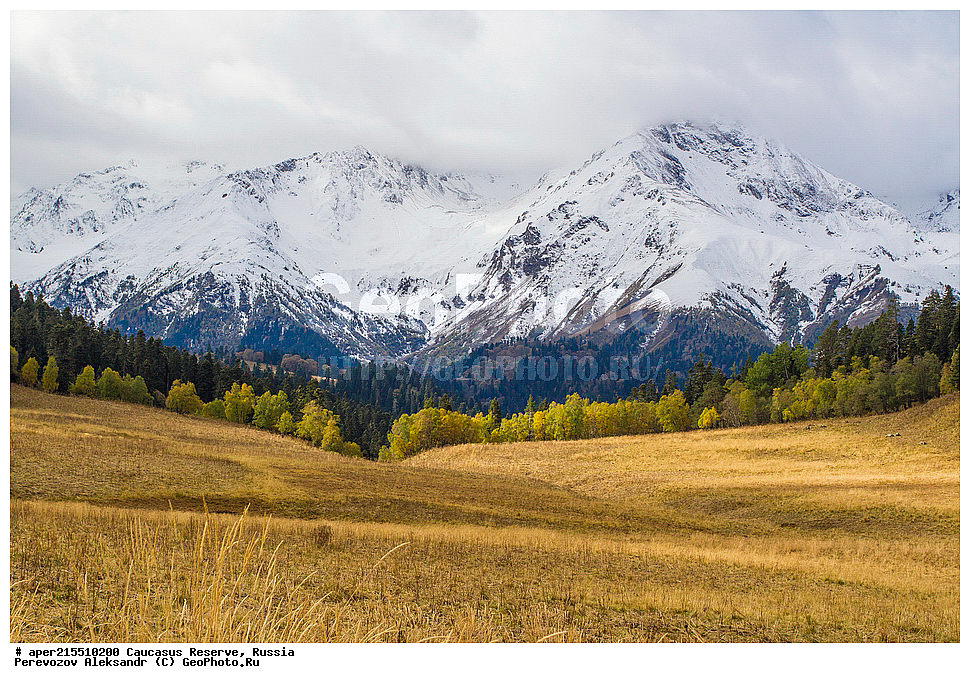 ������������� ����, ���������� ������, ���������-���������� ����������, ������, ���, ������, �������� ������, ���������� ��������������� ����������, ���������� ��������������� ��������� ���������� ���������� ����� �. �. �����������, �����, ��������, ������� (����), ������ ����� (������) ������ ������, ���� �����, ���, ������������ �������, ��������� ��������, ������