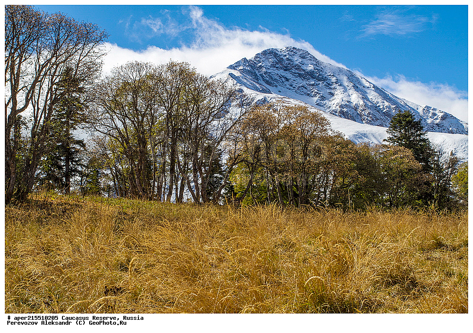 ������������� ����, ���������� ������, ���������-���������� ����������, ������, ���, ������, �������� ������, ���������� ��������������� ����������, ���������� ��������������� ��������� ���������� ���������� ����� �. �. �����������, �����, ��������, ������� (����), ������ ����� (������) ������ ������, ���� �����, ���, ������������ �������, ��������� ��������, ������