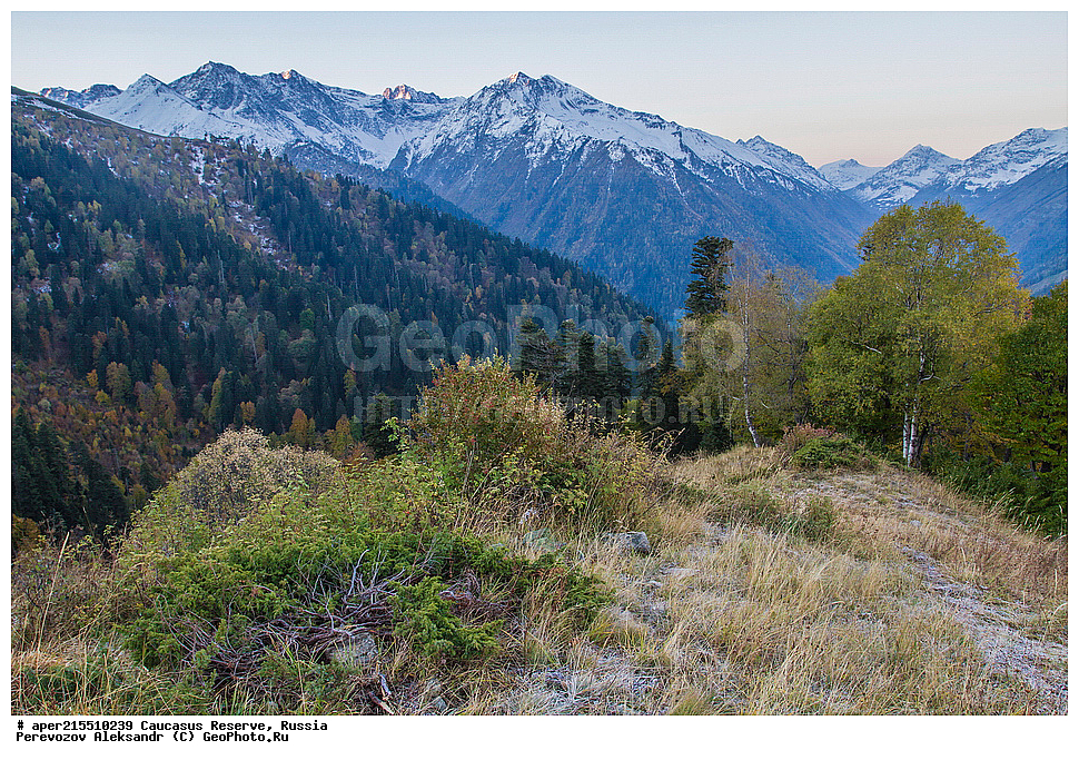 ������������� ����, ���������� ������, ���������-���������� ����������, ������, ���, ������, �������� ������, ���������� ��������������� ����������, ���������� ��������������� ��������� ���������� ���������� ����� �. �. �����������, ��������� ����, ���, ������, ����� ��������, ������